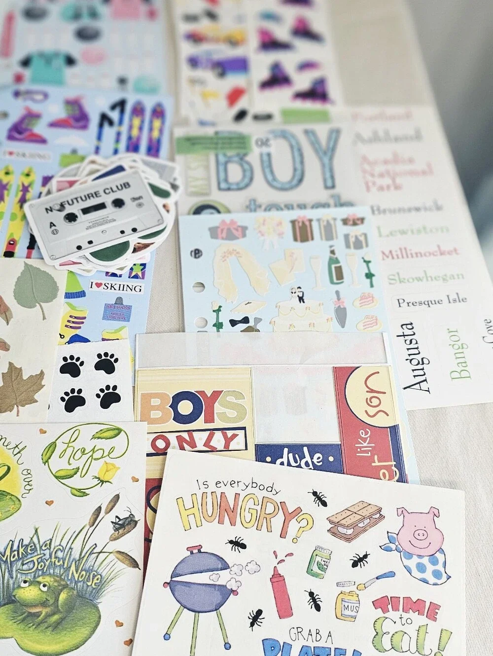 Huge Scrapbooking Sticker & Embellishment Craft Lot Mixed New & Partial 50+